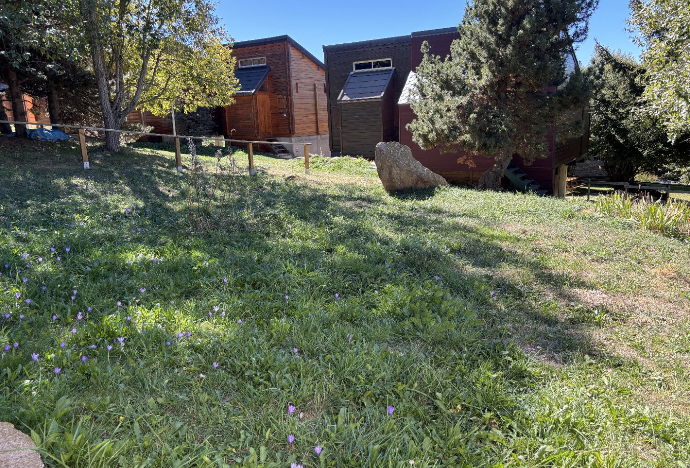 vente Chalet Eyne - Photo 2