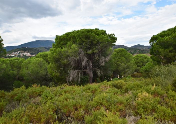 à vendre Terrain constructible Banyuls Sur Mer