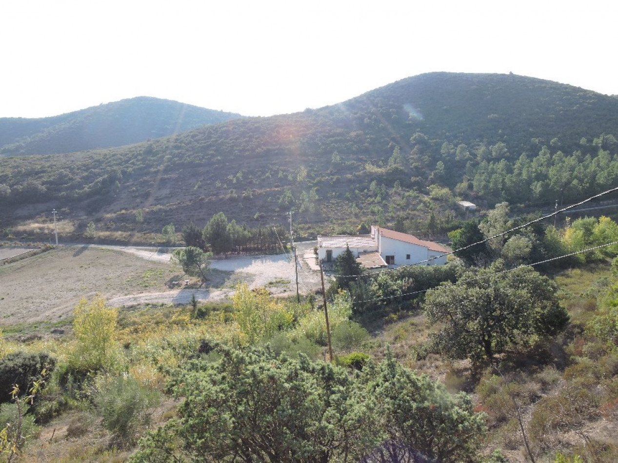 à vendre Mas Tautavel - Photo 2