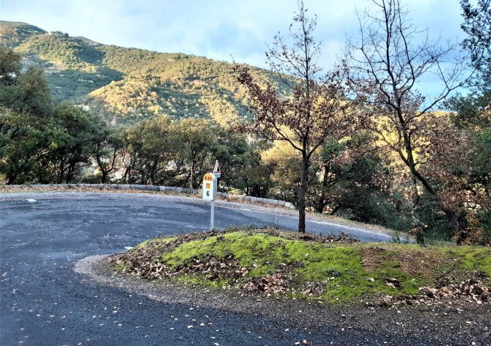 for sale Terrain constructible Amelie Les Bains Palalda