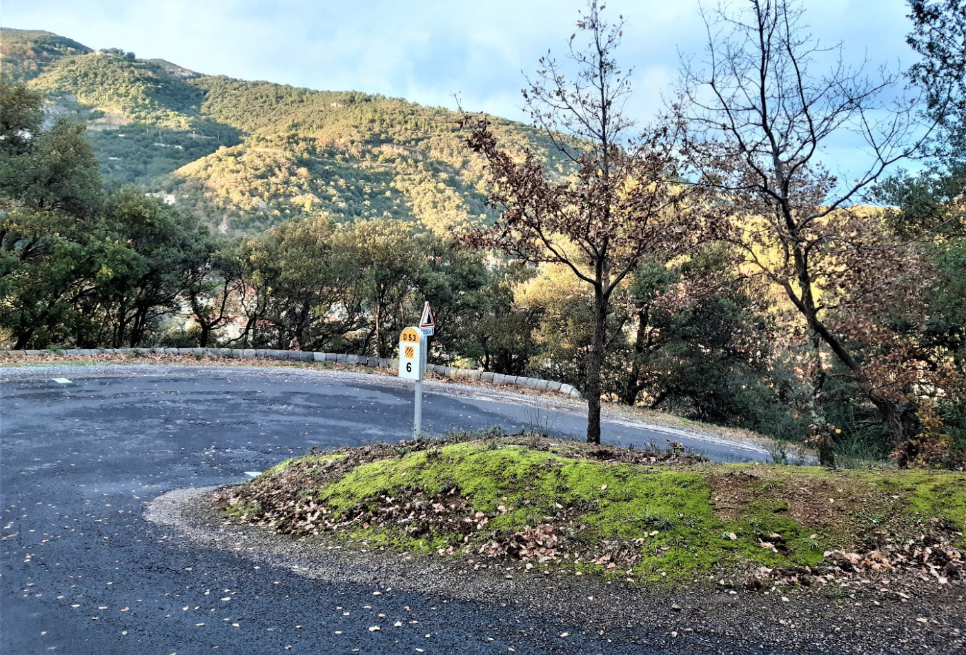vente Terrain constructible Amelie Les Bains Palalda - Photo 2