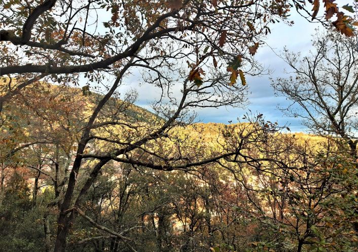 for sale Terrain constructible Amelie Les Bains Palalda