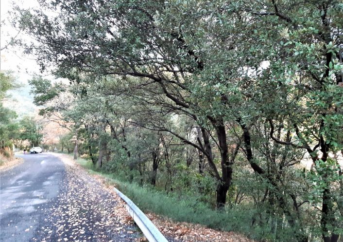 for sale Terrain constructible Amelie Les Bains Palalda