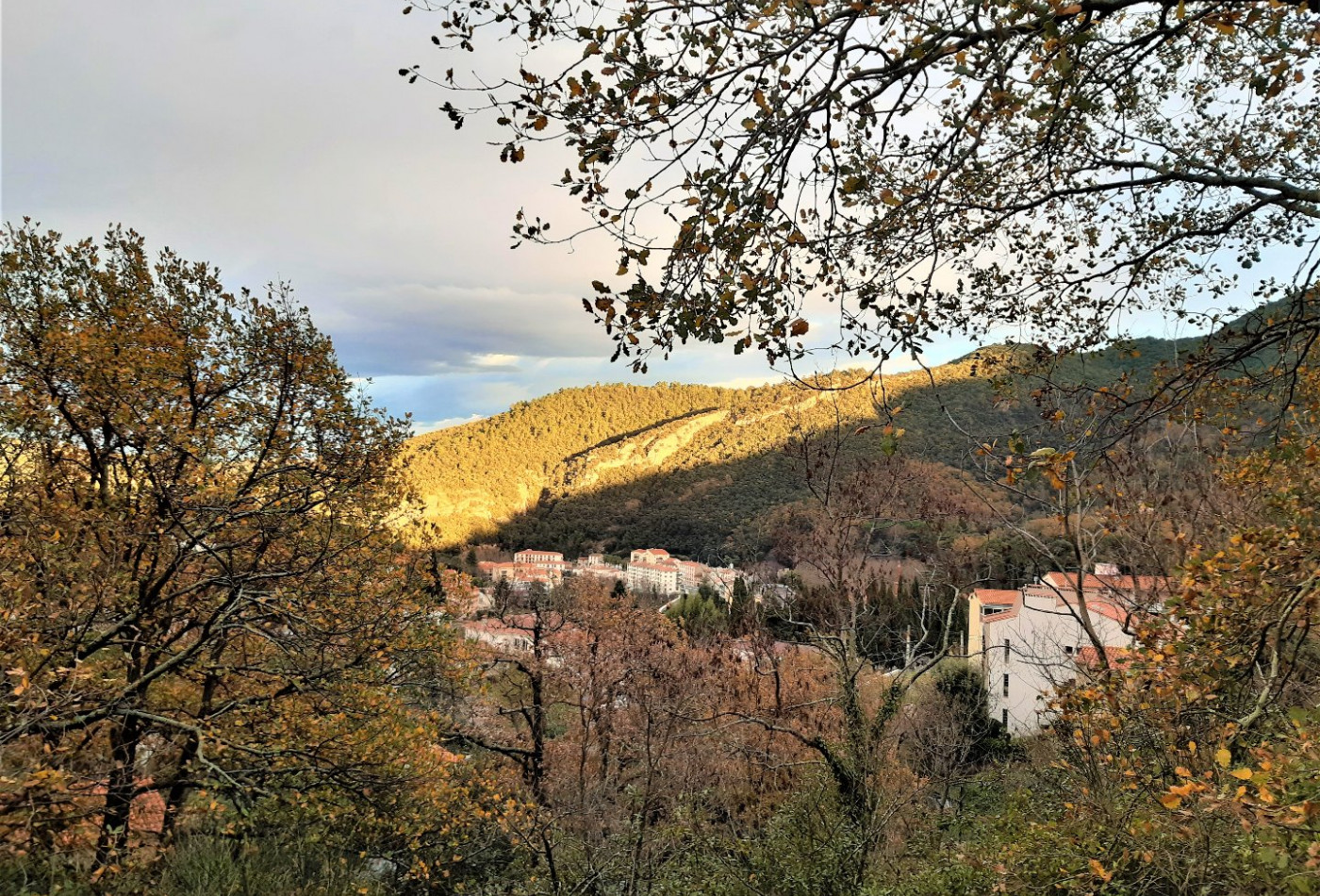 vente Terrain constructible Amelie Les Bains Palalda - Photo 1