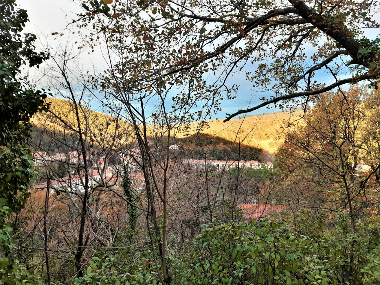 for sale Terrain constructible Amelie Les Bains Palalda - Photo 7