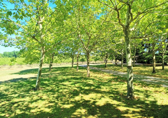 à vendre Ferme Villeneuve Sur Lot