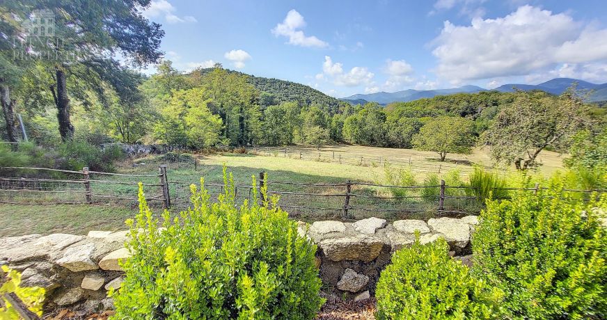 vente Domaine Saint Laurent De Cerdans