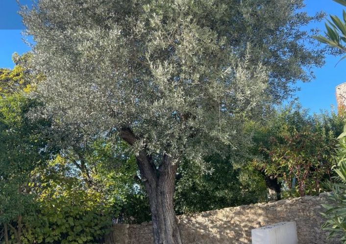 à vendre Maison Castelnau Le Lez