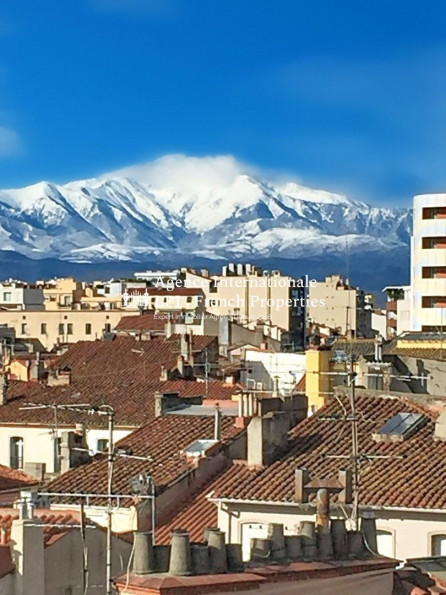 vente Appartement terrasse Perpignan - Photo 8
