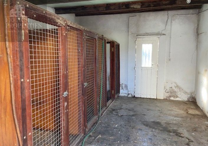 à vendre Horticole /maraîchage Perpignan