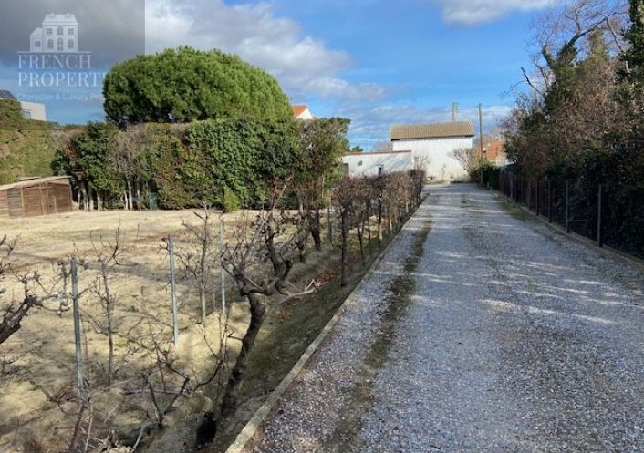 à vendre Horticole /maraîchage Perpignan