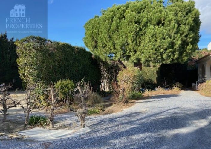 à vendre Horticole /maraîchage Perpignan