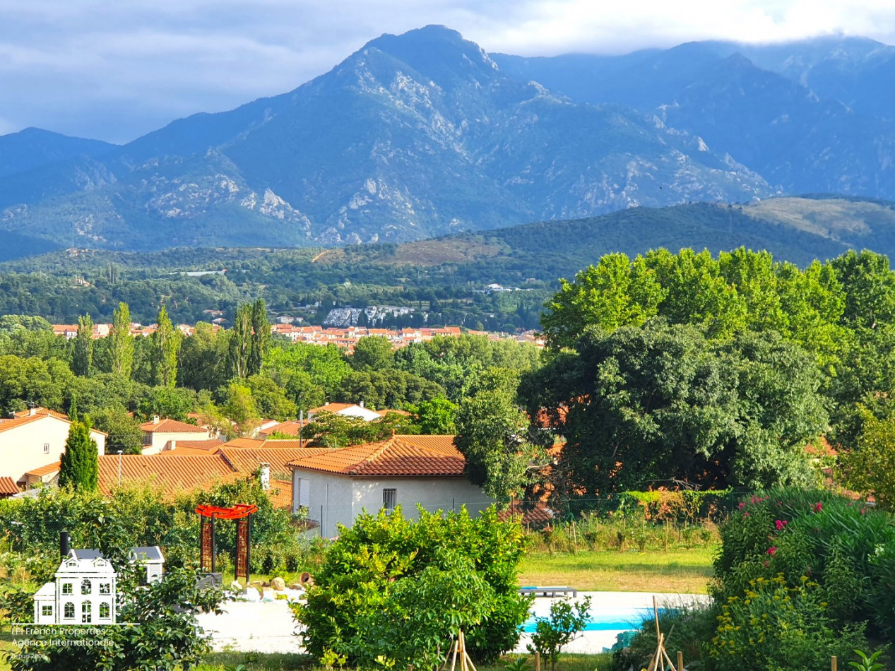 à vendre Mas Prades - Photo 10