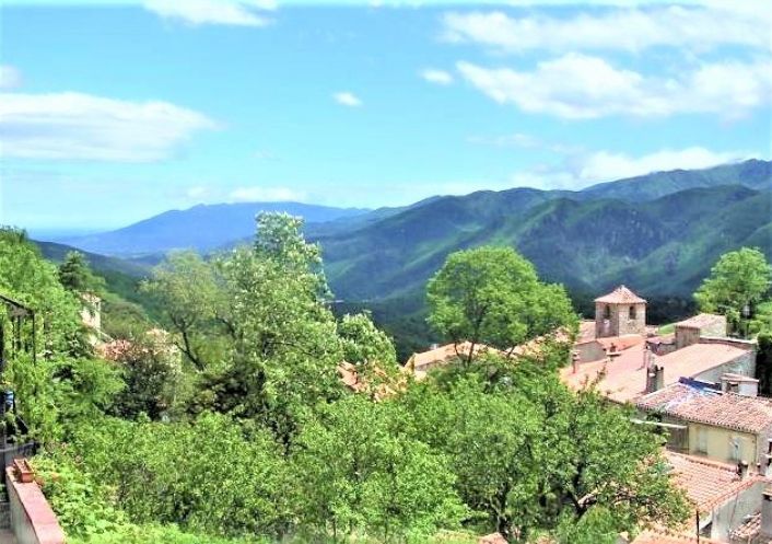 à vendre Maison de maître Arles Sur Tech