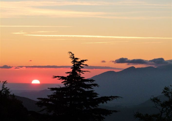 à vendre Maison de maître Arles Sur Tech