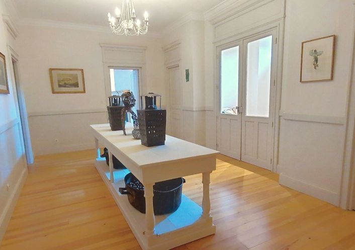 à vendre Château Gaillac