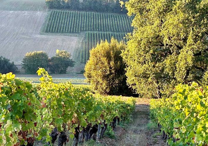 à vendre Château Gaillac