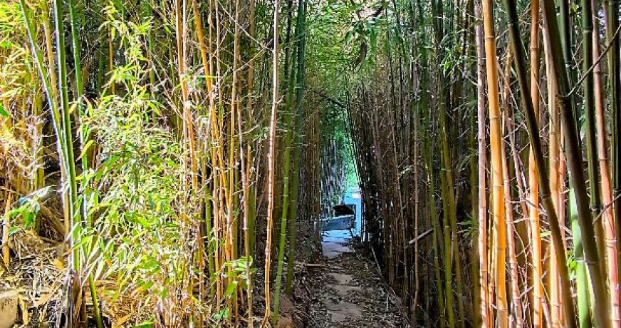 vente Maison contemporaine Perpignan