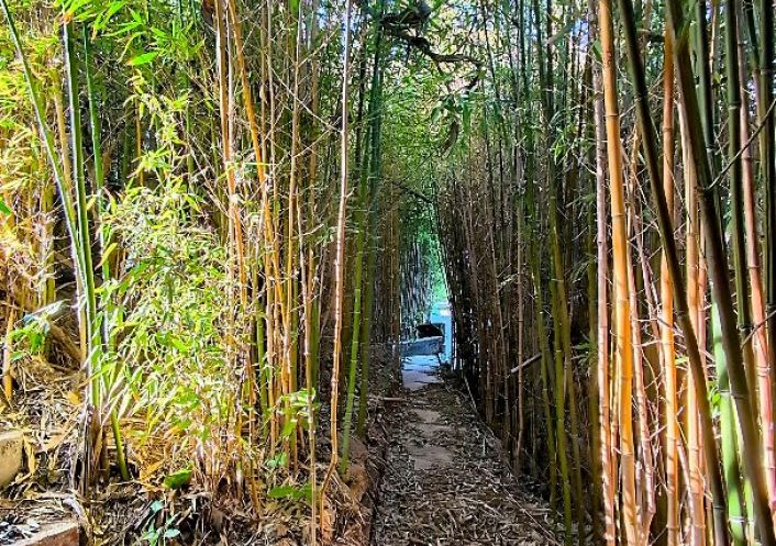 à vendre Maison contemporaine Perpignan