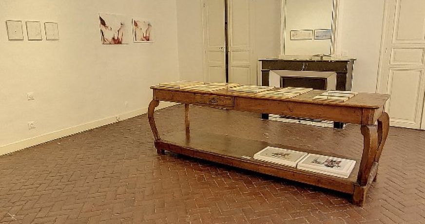 vente Hôtel particulier Perpignan