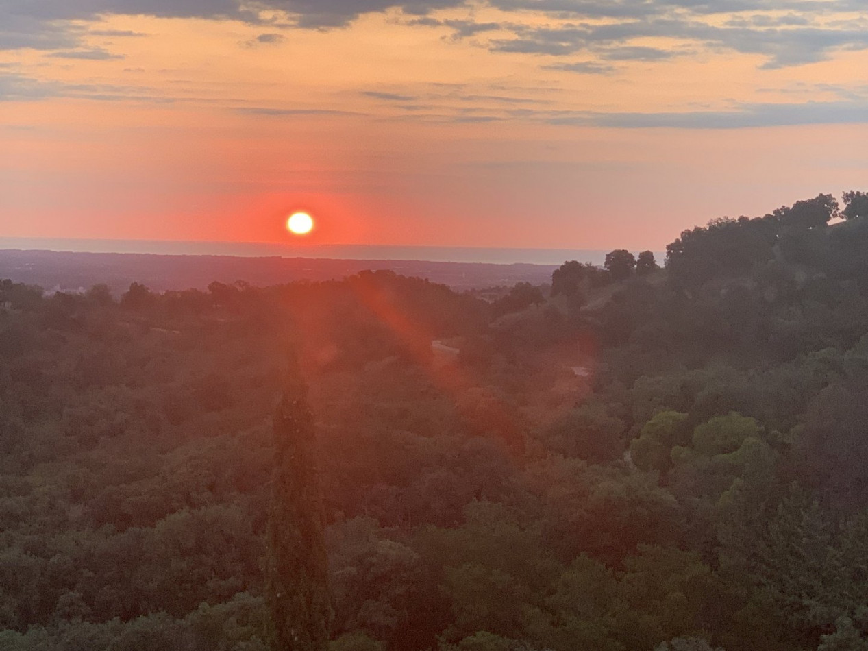 à vendre Propriété Le Boulou - Photo 7