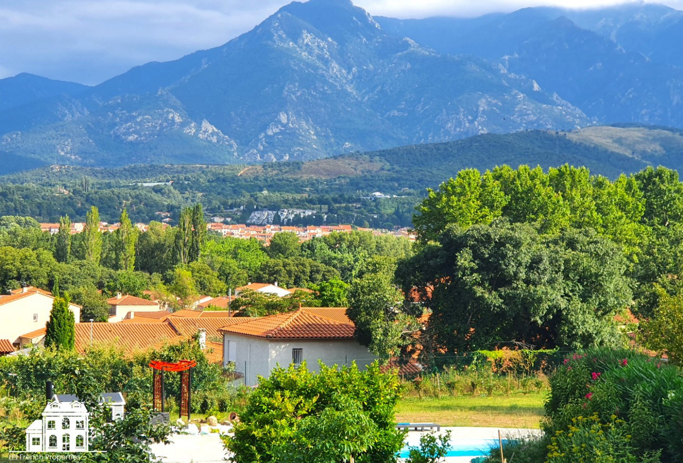vente Mas Prades - Photo 10