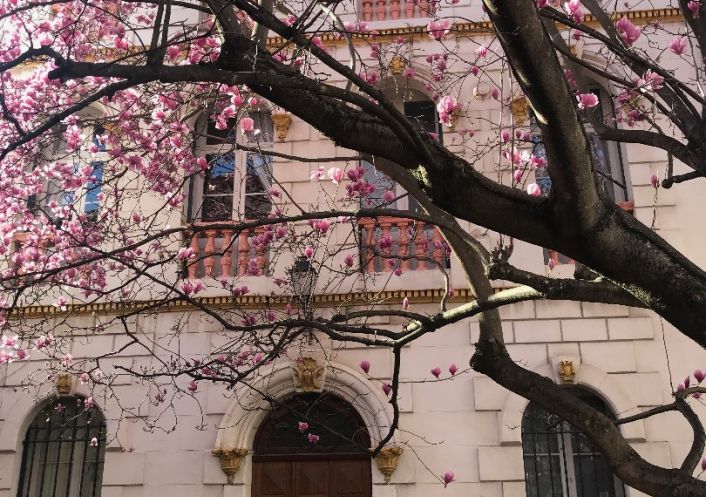 à vendre Maison bourgeoise Arles Sur Tech