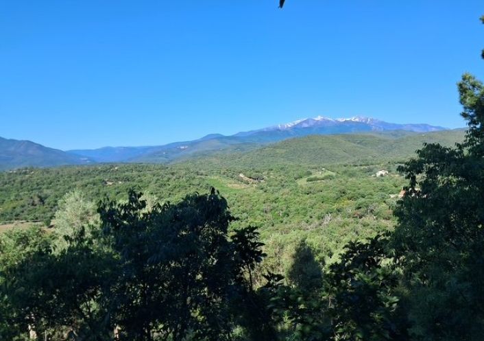 à vendre Bastide Le Boulou