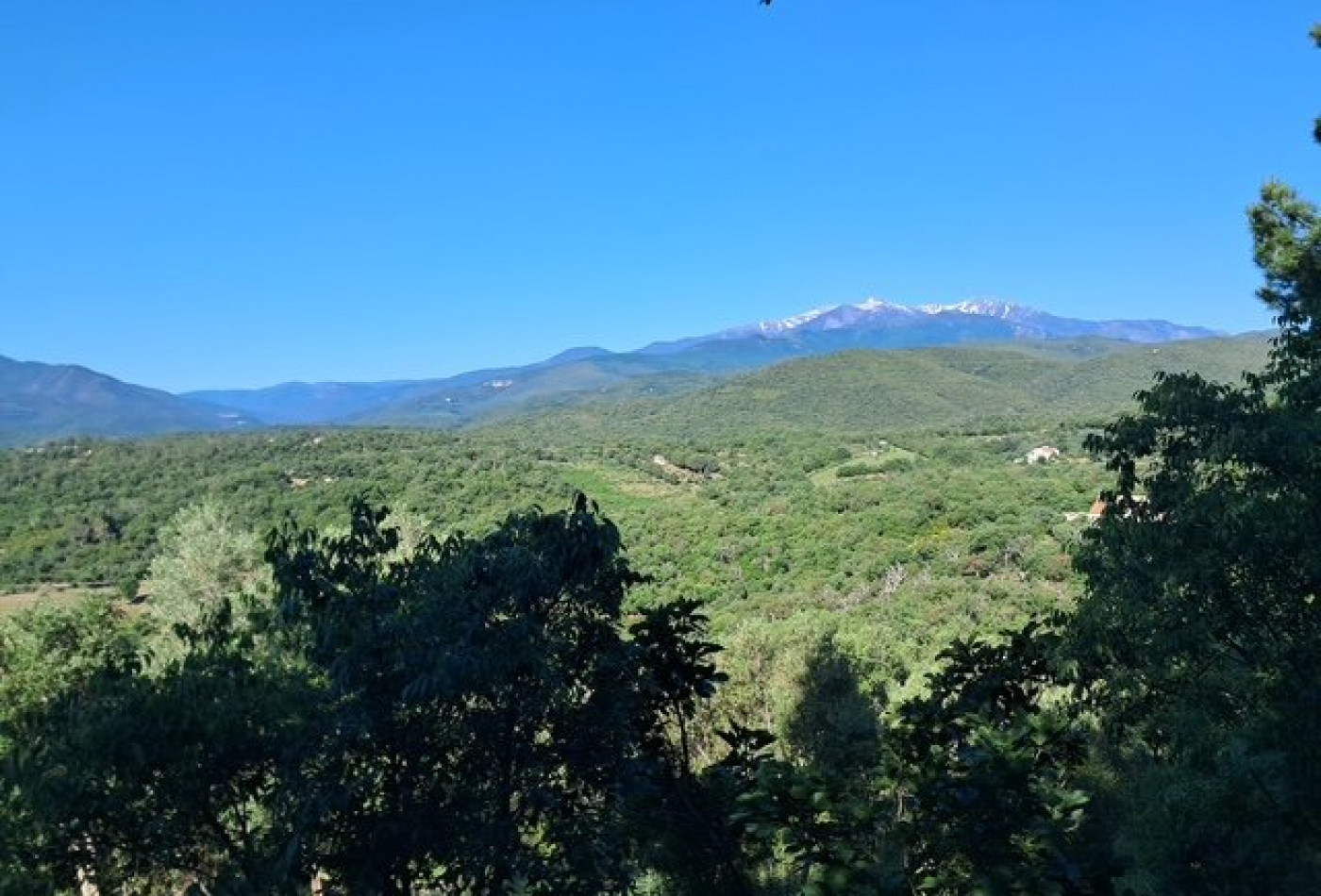 vente Bastide Le Boulou - Photo 4