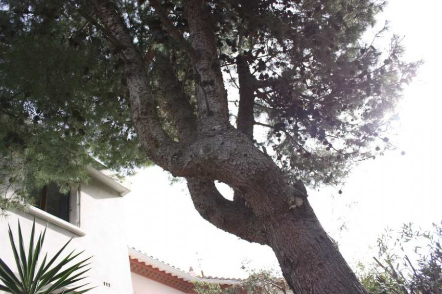 à vendre Immeuble de rapport Perpignan - Photo 4