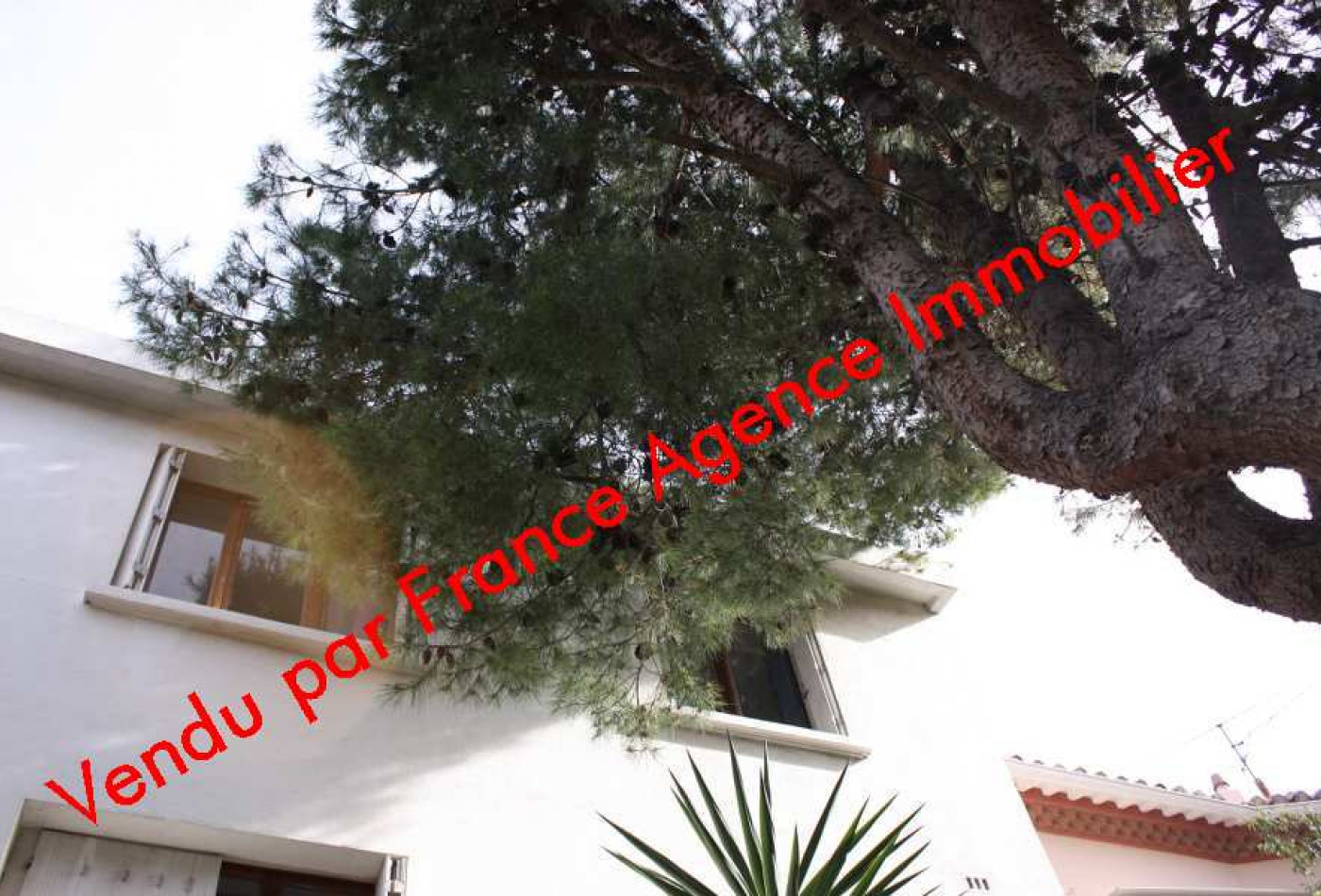 vente Immeuble de rapport Perpignan - Photo 1