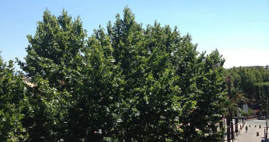 vente Appartement en résidence Perpignan