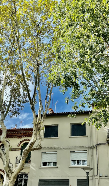 à vendre Appartement Perpignan - Photo 4