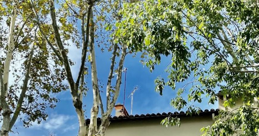 vente Appartement Perpignan