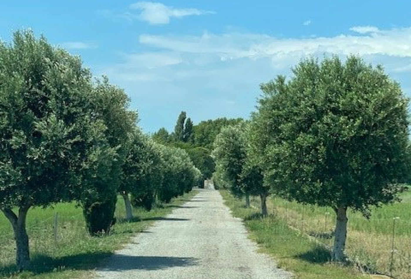 vente Château Narbonne - Photo 10