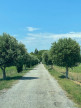 à vendre Château Narbonne