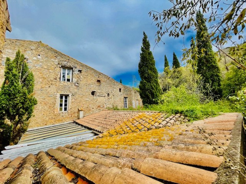 à vendre Maison de maître Perpignan - Photo 7