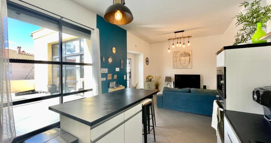vente Appartement terrasse Ille Sur Tet