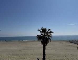 à vendre  Canet En Roussillon