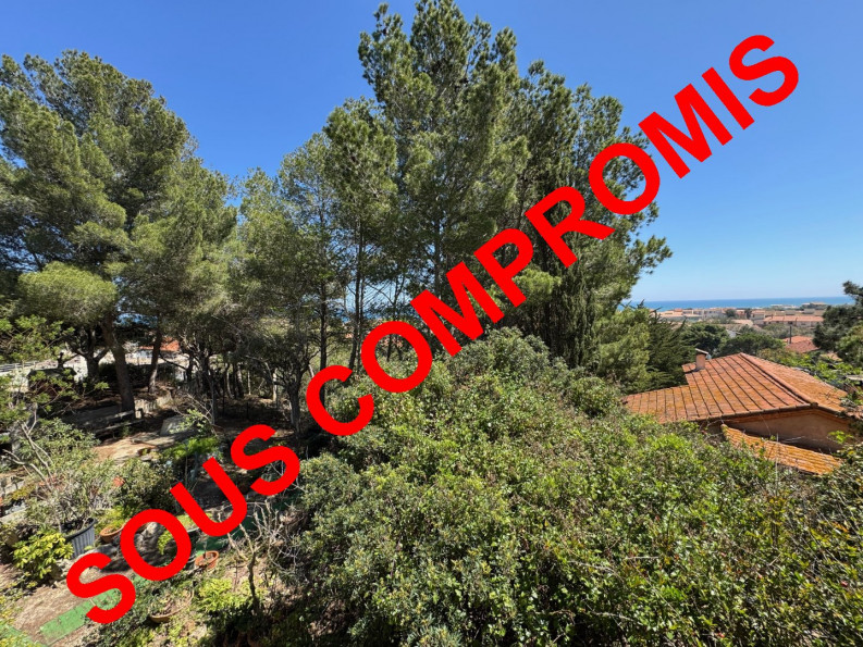 à vendre Villa Leucate - Photo 4