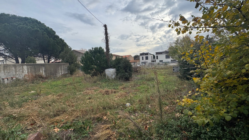 vente Terrain Theza - Photo 6