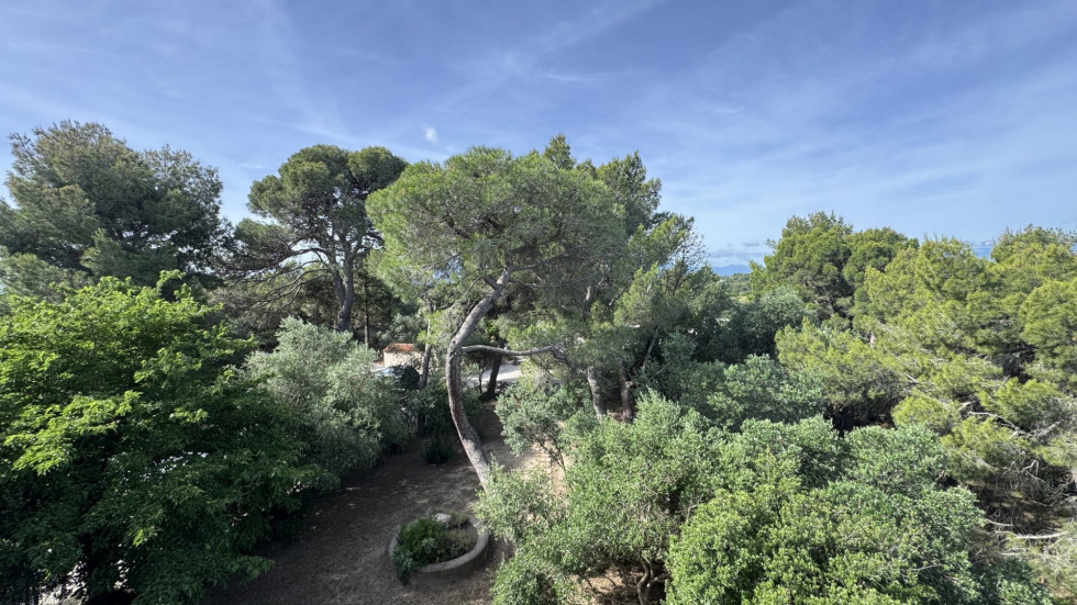 vente Maison Perpignan - Photo 3