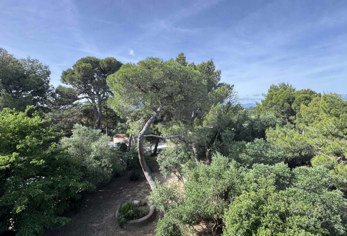 vente Maison Perpignan - Photo 3