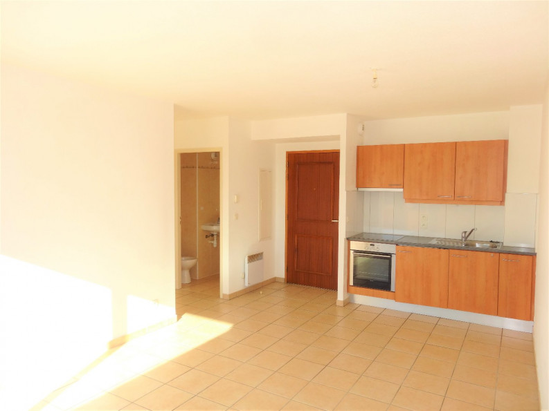 location Appartement terrasse Saint Esteve - Photo 2