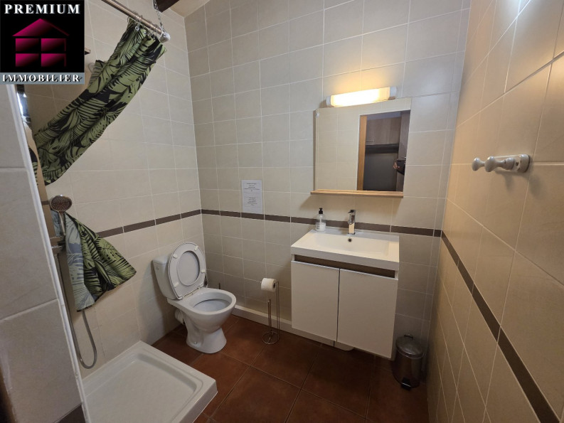 à vendre Propriété Saint Esteve - Photo 7