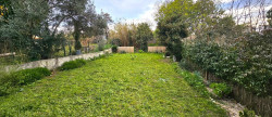vente Immeuble Perpignan