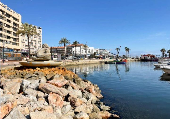 à vendre Terrain constructible Saint Cyprien