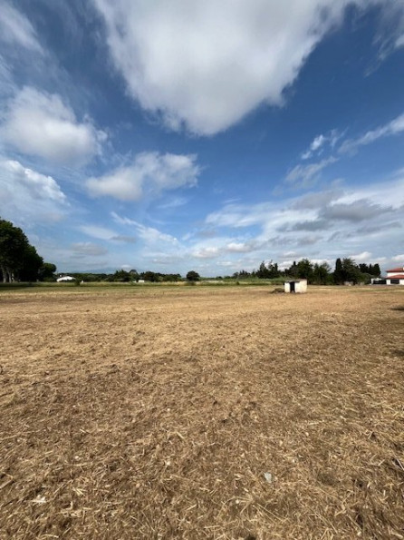 à vendre Terrain en lotissement Theza - Photo 9