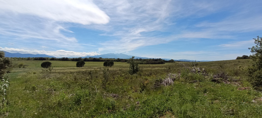 à vendre Terrain constructible Pollestres - Photo 6