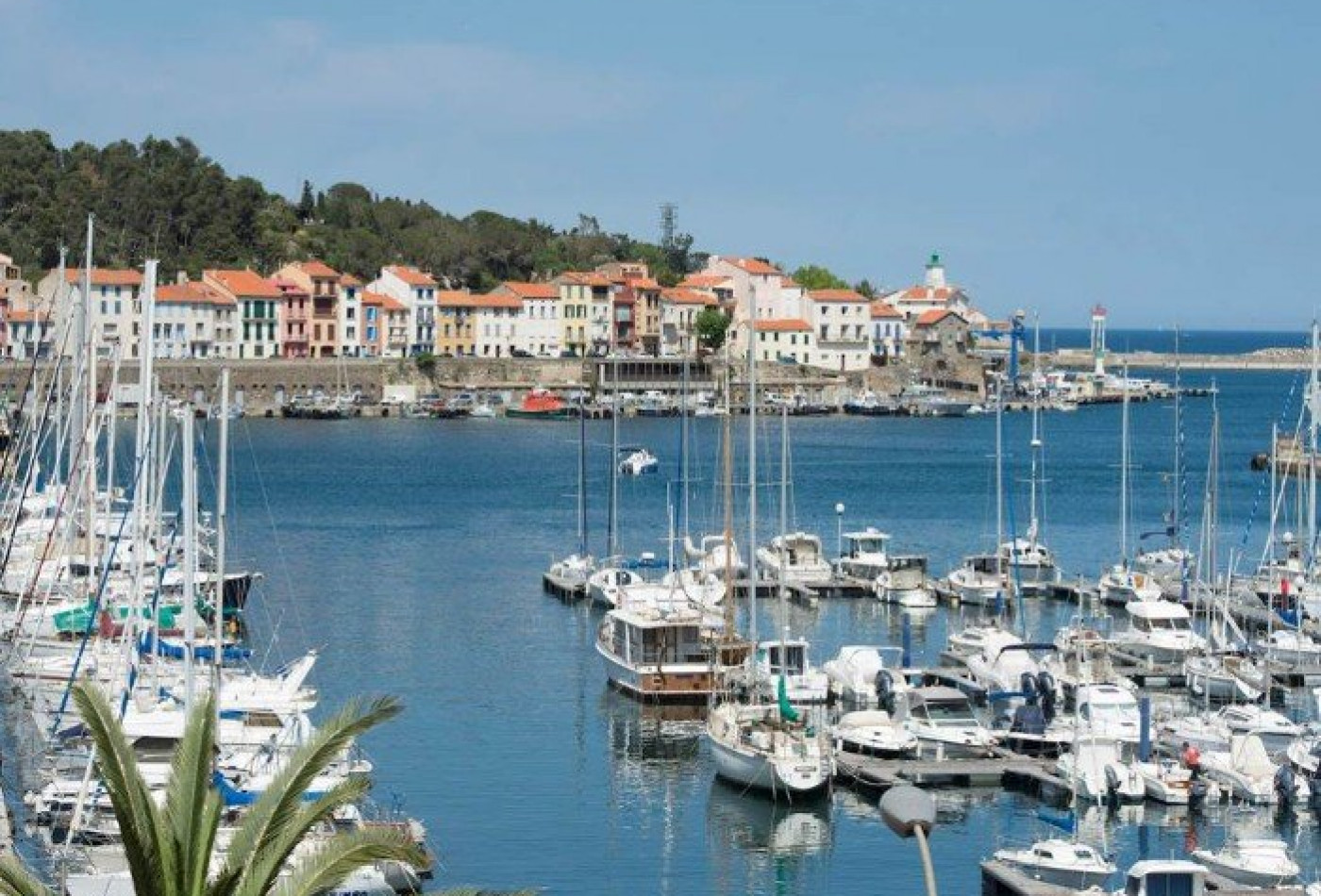 vente Terrain constructible Port Vendres - Photo 2